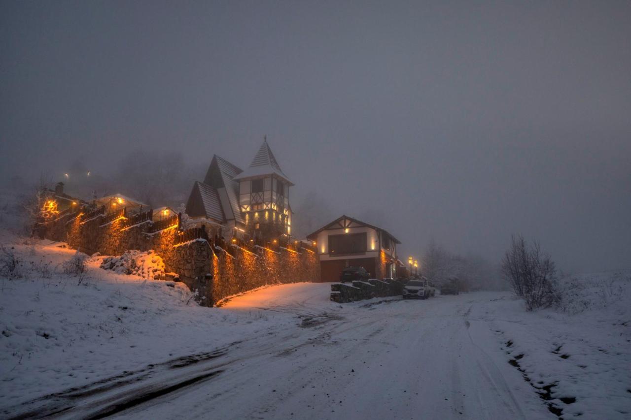 Alpine Castle Hotel Dilidžan Exteriér fotografie